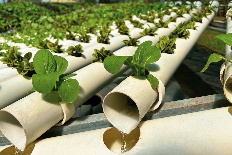 Hydroponic Farming and the Hidden Role of Plumbing