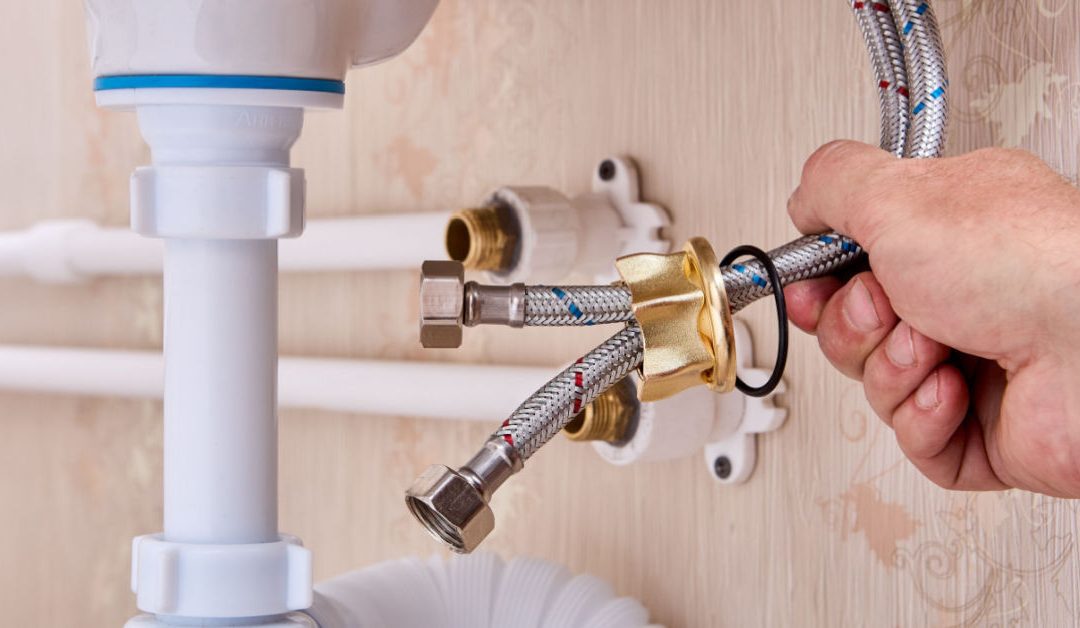 Activism in Action: The Environmental Legacy of Smart Plumbing